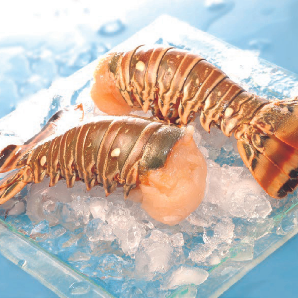 Queue De Langouste Crue Colombie Panulirus Argus 10 Oz 280gr