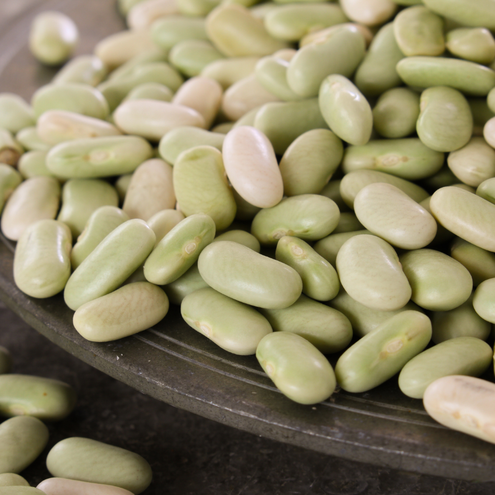 Flageolets Verts Fins Sachet 1kg