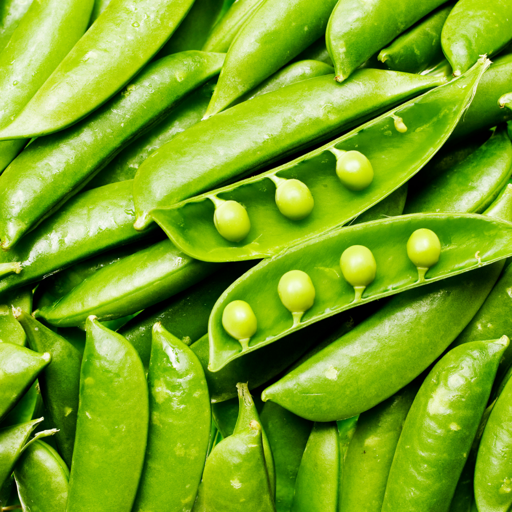 Pois Gourmands Mange-Tout Sachet 1kg