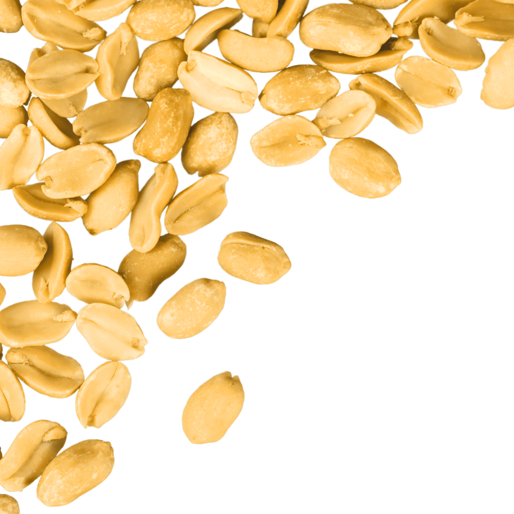 Cacahuetes Arachide Decortiquees Salees Sachet 1kg