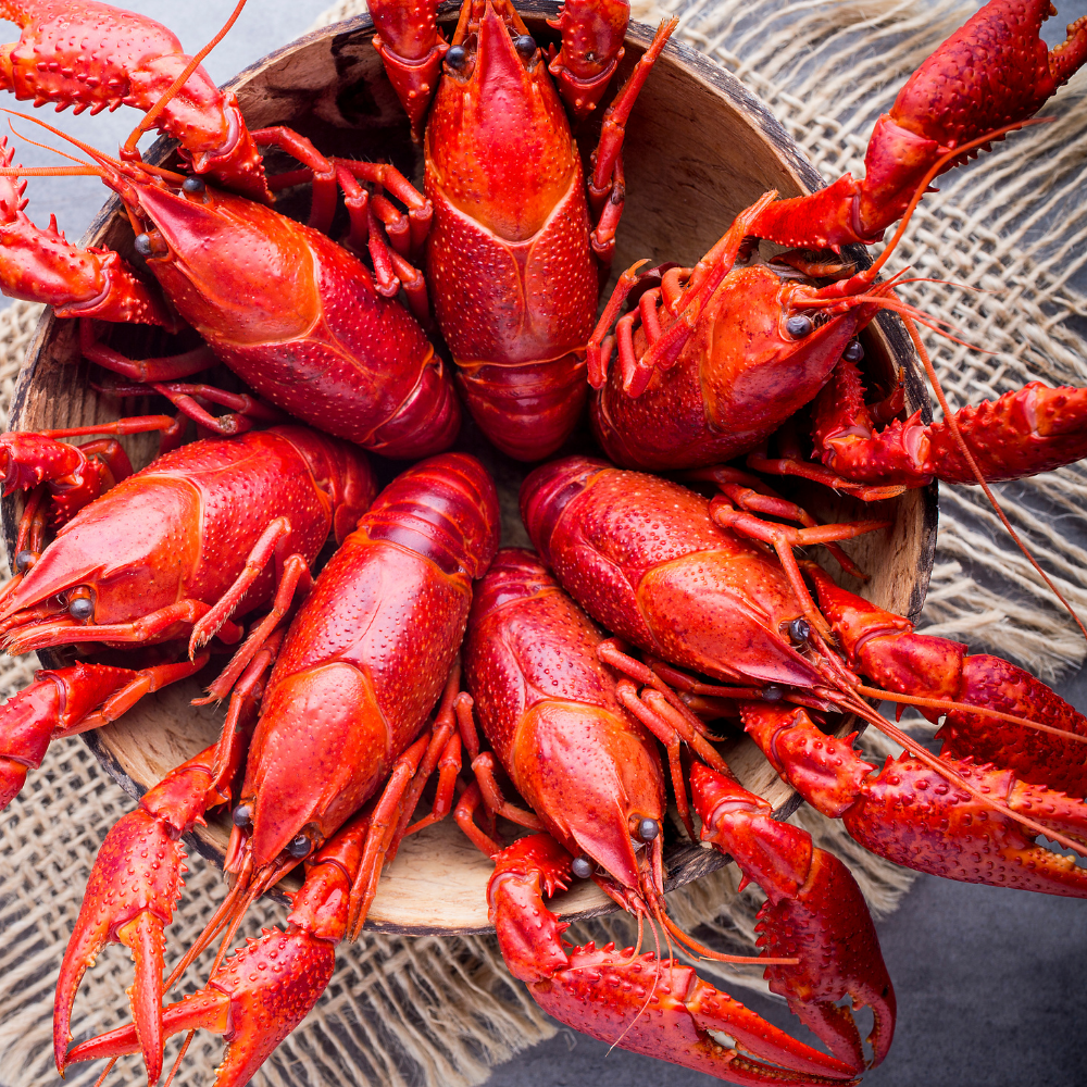 Ecrevisse Ent. Crue S/s Glace 40/60 Ct 10 X 1 Kg