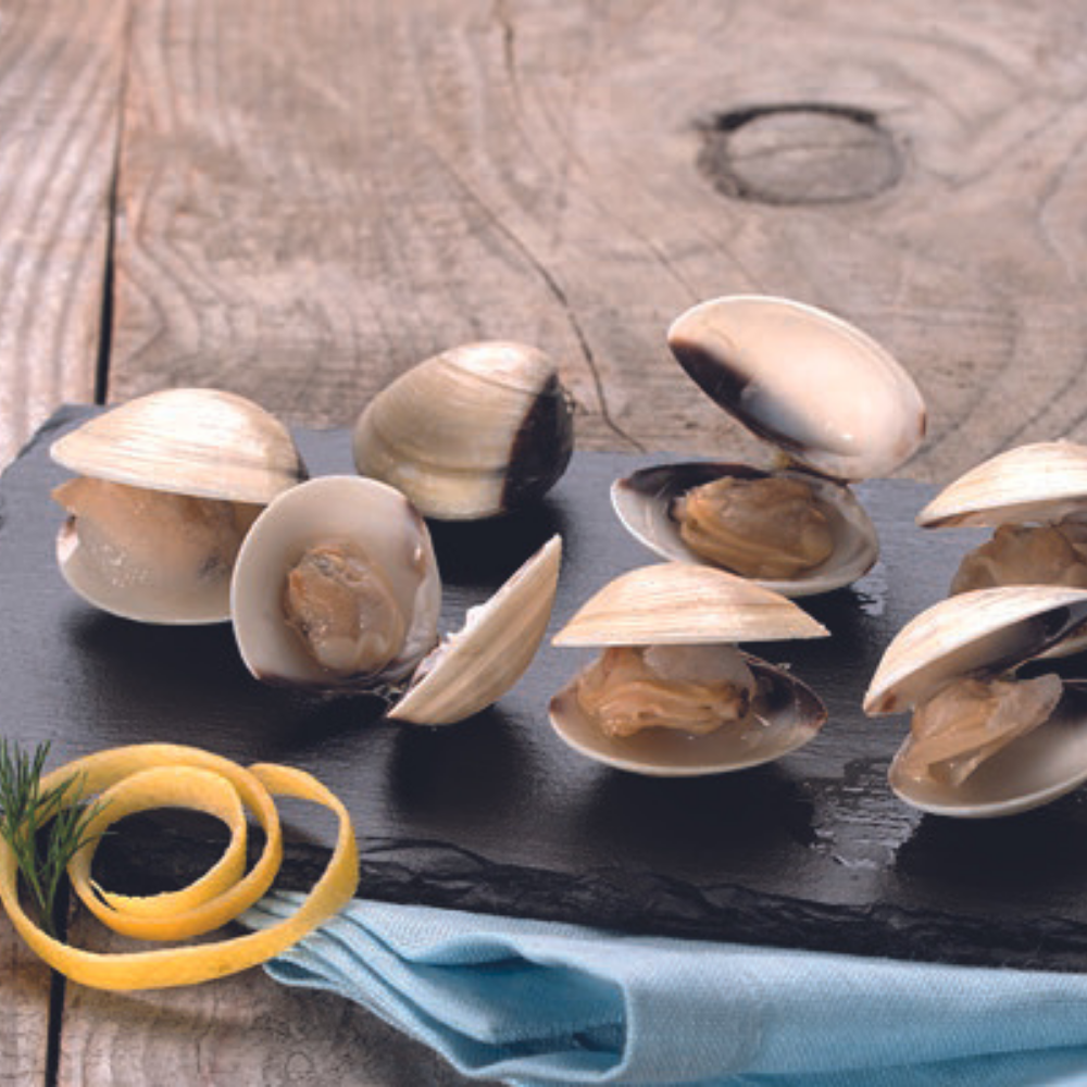 Cytheree Blanche Almeja Meretrix Lyrata 40/60 Sac 1kg