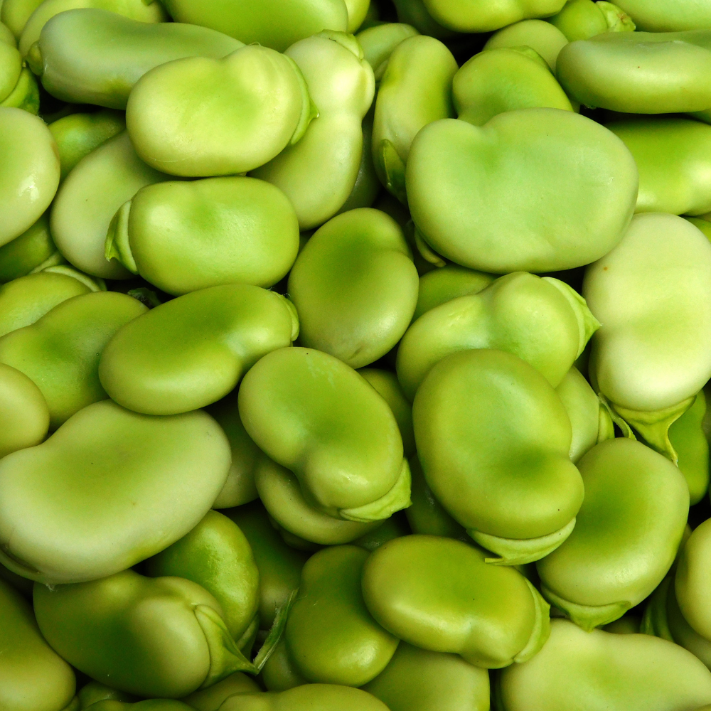 Feve Pelee Sachet 1kg