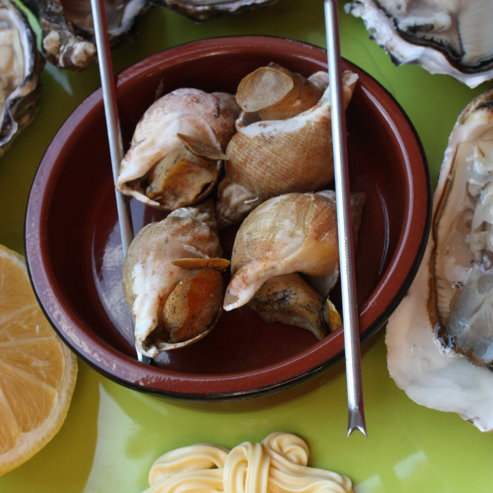 Bulots Cuits 60/80 Irlande  Buccinum Undatum Sac 1kg