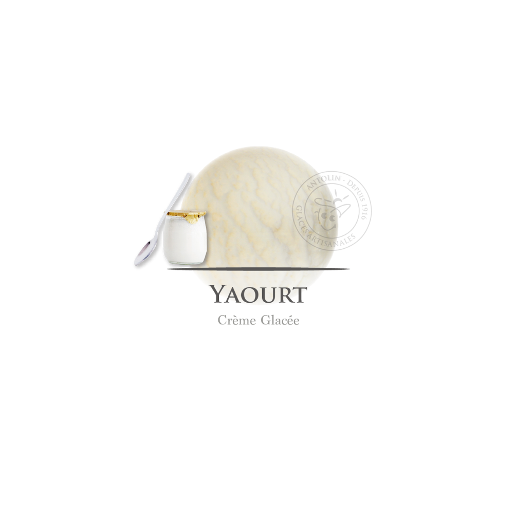 Ant. Yaourt Cg 1l