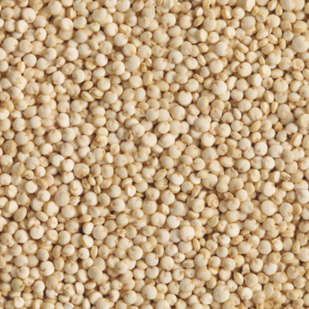 Quinoa Blanc De France Sac 2,5kg