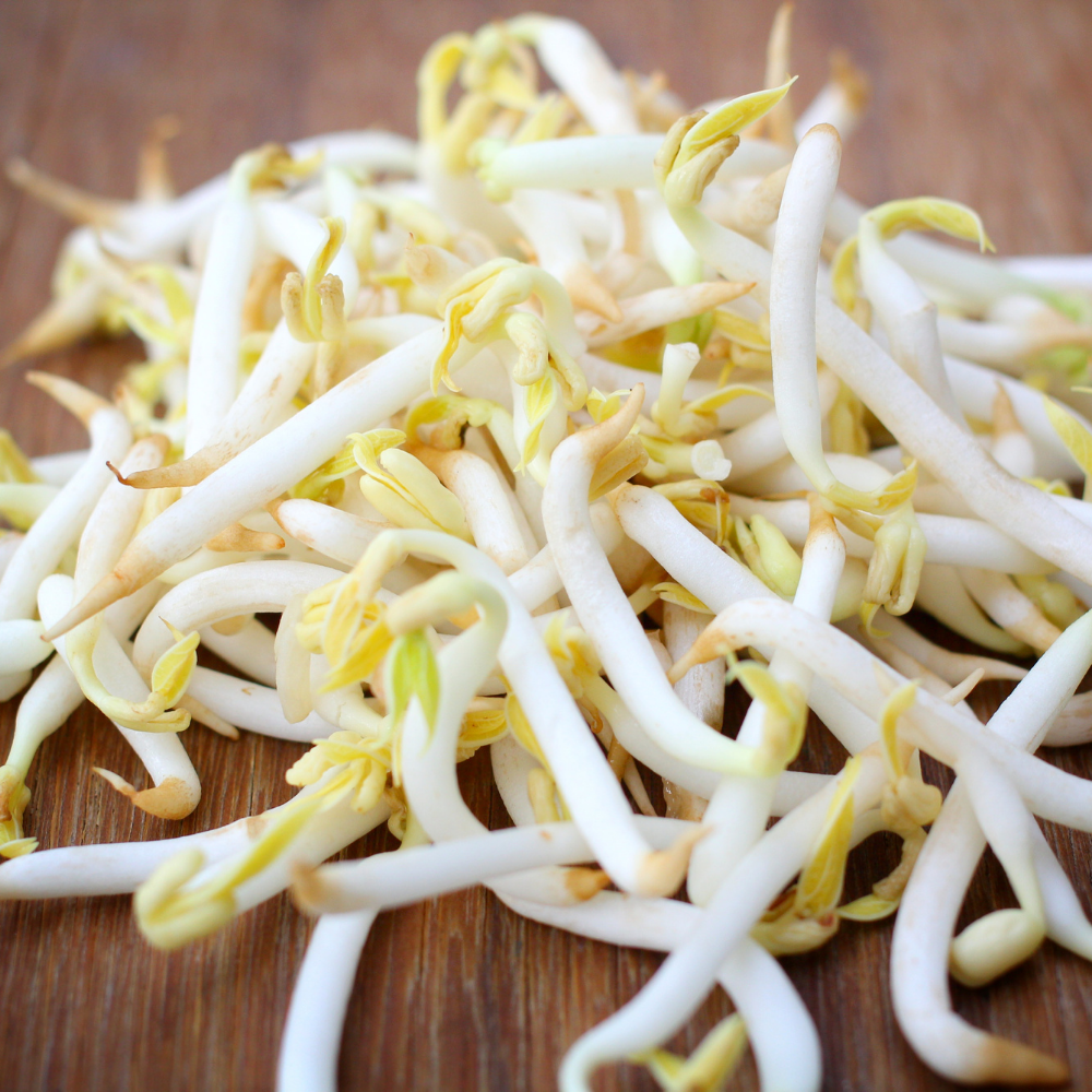 Germes De Soja Pousses De Haricot Mungo Mont D'asie 425g