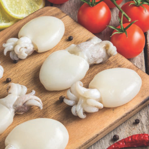 [000239] Suppion I.q.f.  40/60 Sepia Aculeata Sachet 800g