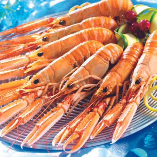 [000242] Langoustine 20/30 Nephrops Norvegicus Barquette 1kg