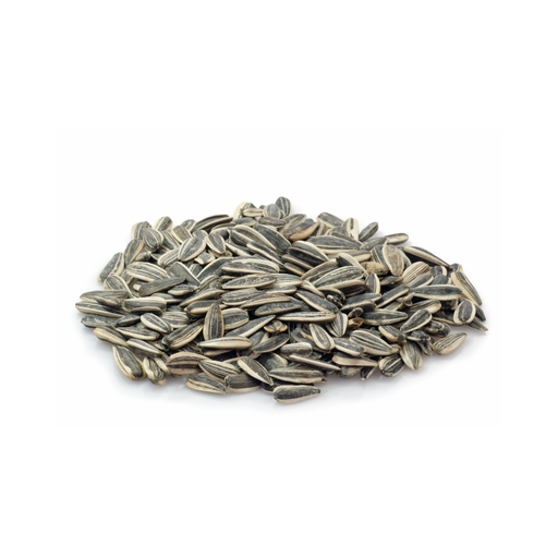 [000972] Graine De Tournesol Panemex Sachet 1kg