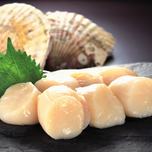 [001535] Noix St Jacques Sauvage Sans Corail "clearwater" 10-20 X 1kg
