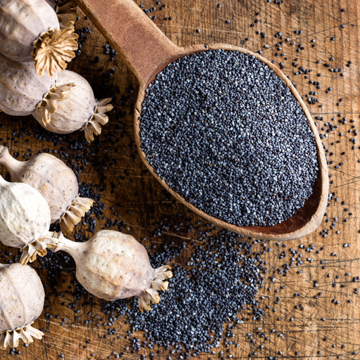 [001866] Pavot Bleu Graines Sachet 1kg