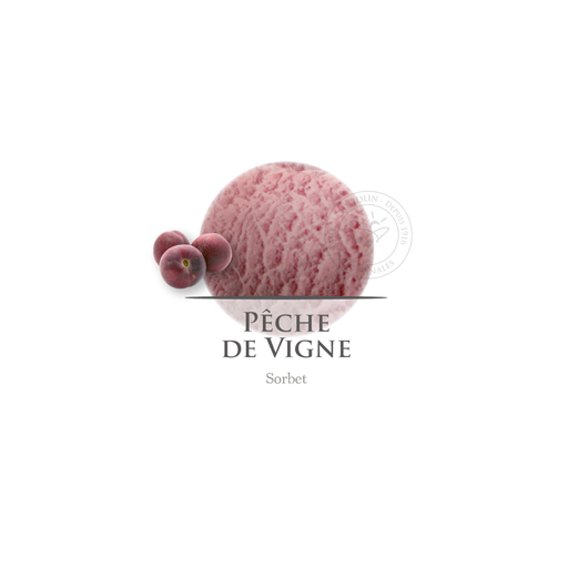 [002541] Ant. Peche De Vigne Sb 1l