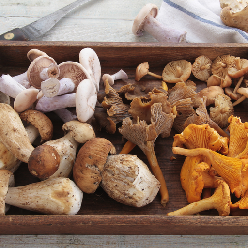 [002550] Cocktail De Champignons Sachet 1kg