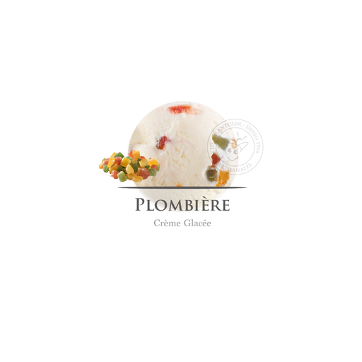 [003144] Ant. Plombiere Cg 1l