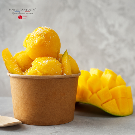 [003499] Ant. Mangue Cg 1l