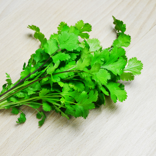 [003935] Coriandre Sachet 250gr