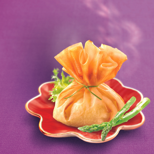 [004699] Feuilles De Brick 30cm X 10 Poches 170g